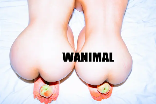 [WANIMAL王动] VIP套图 官方出品 No.11 (238 photos)