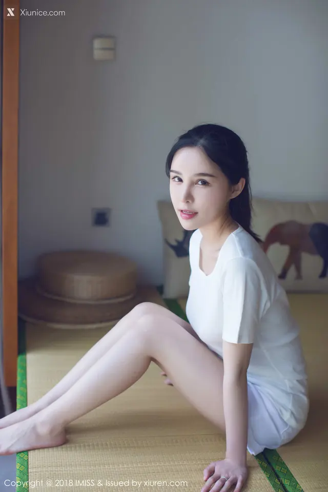 IMiss爱蜜社 No.0229 艾米Amy (36 photos)
