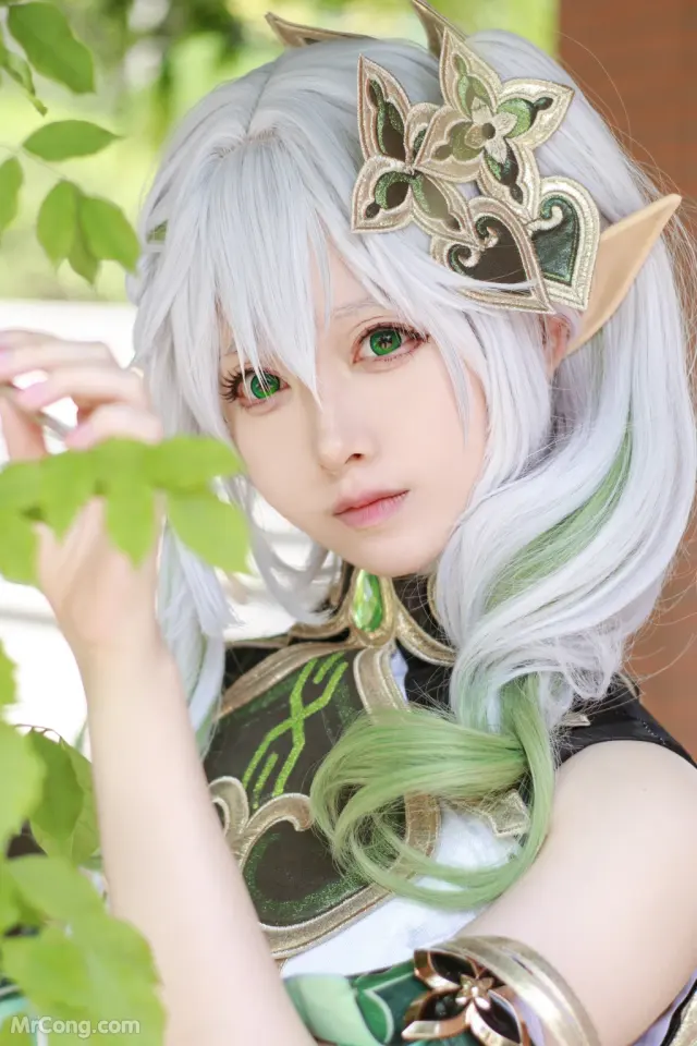 Coser@Asagiriai (愛ちゃん): 纳西妲 (37 photos)